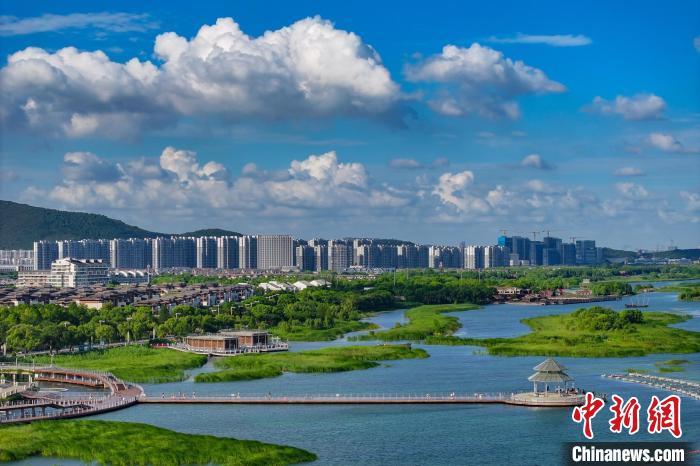 資料圖：航拍蘇州太湖湖濱國家濕地公園，藍(lán)天碧水生態(tài)美。 泱波 攝