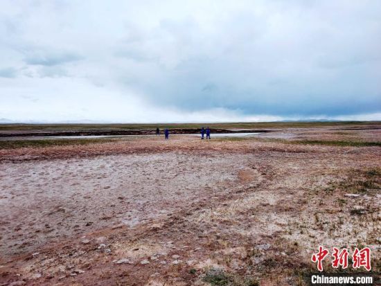 圖為救援力量在青海省西部搜救失聯(lián)的江蘇南京某大學(xué)女生黃某某。海西州藍(lán)天應(yīng)急救援中心 供圖