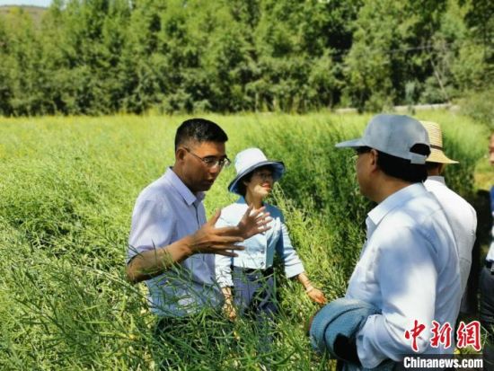 圖為九三學社青海省委主委杜德志(左一)在基層調(diào)研。受訪者供圖