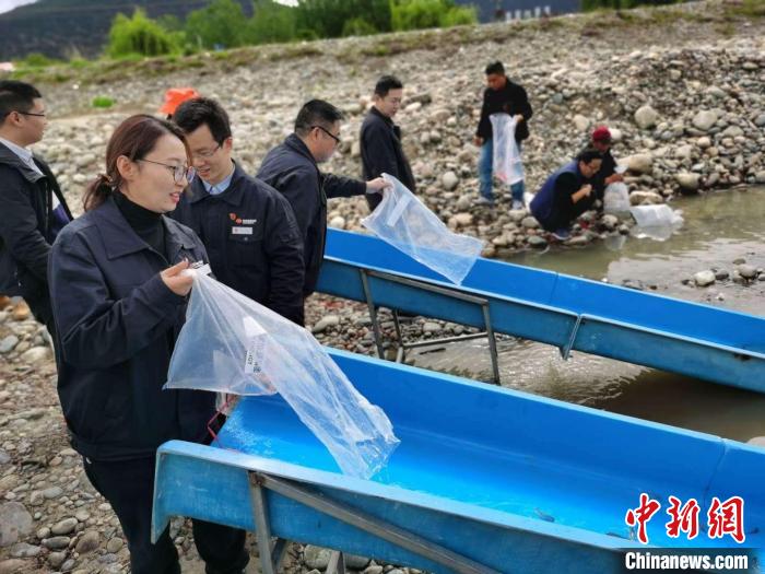 尼洋河珍稀魚類物種保護彰顯魚“水”深情