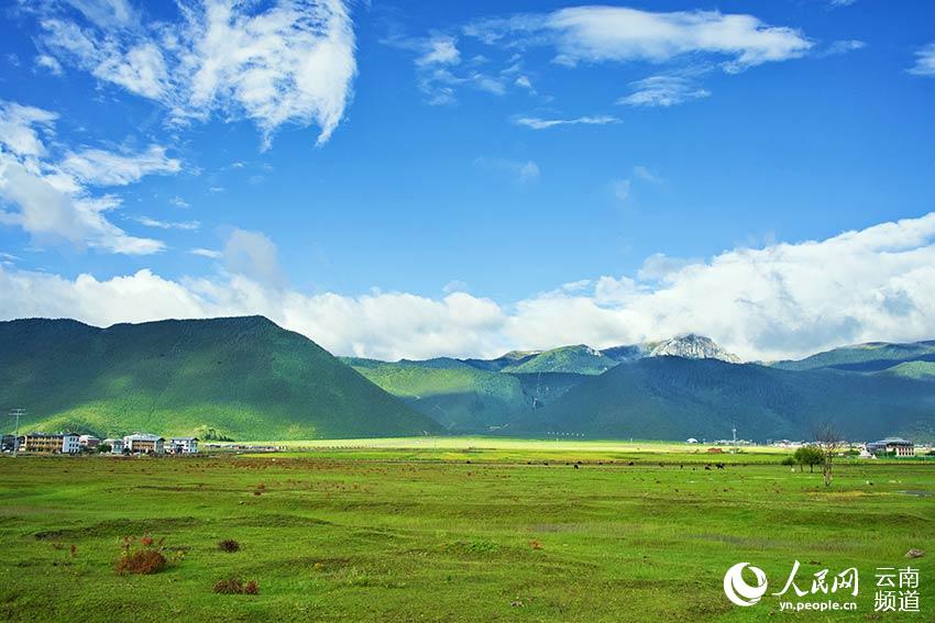 納帕海濕地風(fēng)景。呂昊辰攝