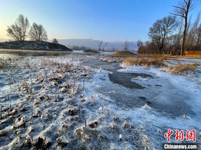 圖為青海省化隆縣黃河濕地景色。　李玉峰 攝