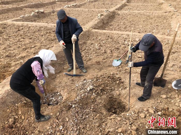 資料圖為建行青海省分行綠化區(qū)施工隊隊員處理亂石?！〗ㄐ星嗪Ｊ》中泄﹫D