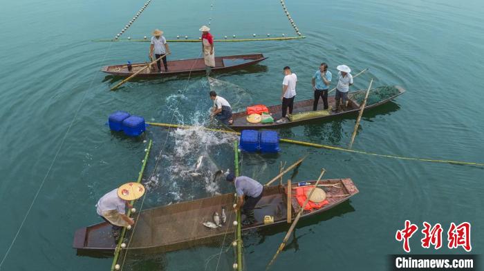 捕魚現(xiàn)場?！≈鬓k方供圖