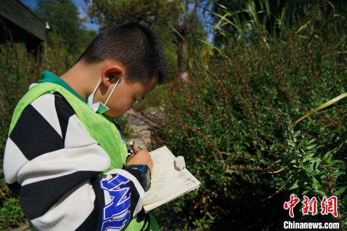 圖為小朋友在青海西寧湟水國家濕地公園內(nèi)認(rèn)識植物并進(jìn)行繪畫?！●R銘言 攝