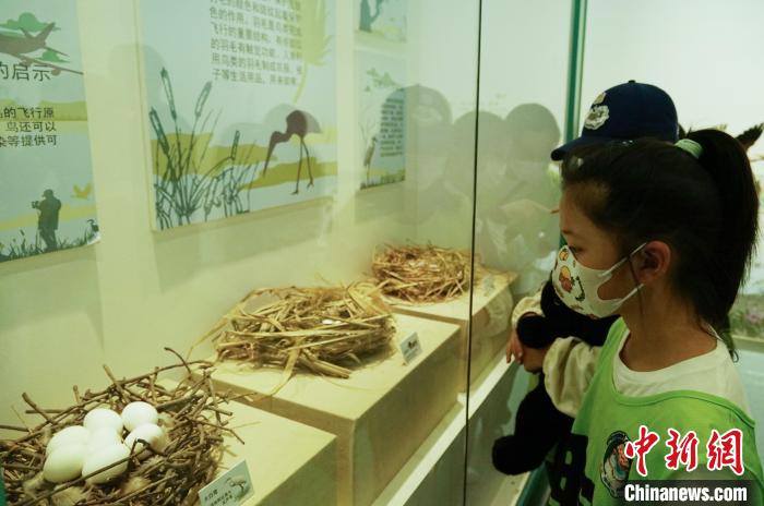 圖為小朋友在青海西寧湟水國家濕地公園科普館內(nèi)參觀學(xué)習(xí)?！●R銘言 攝