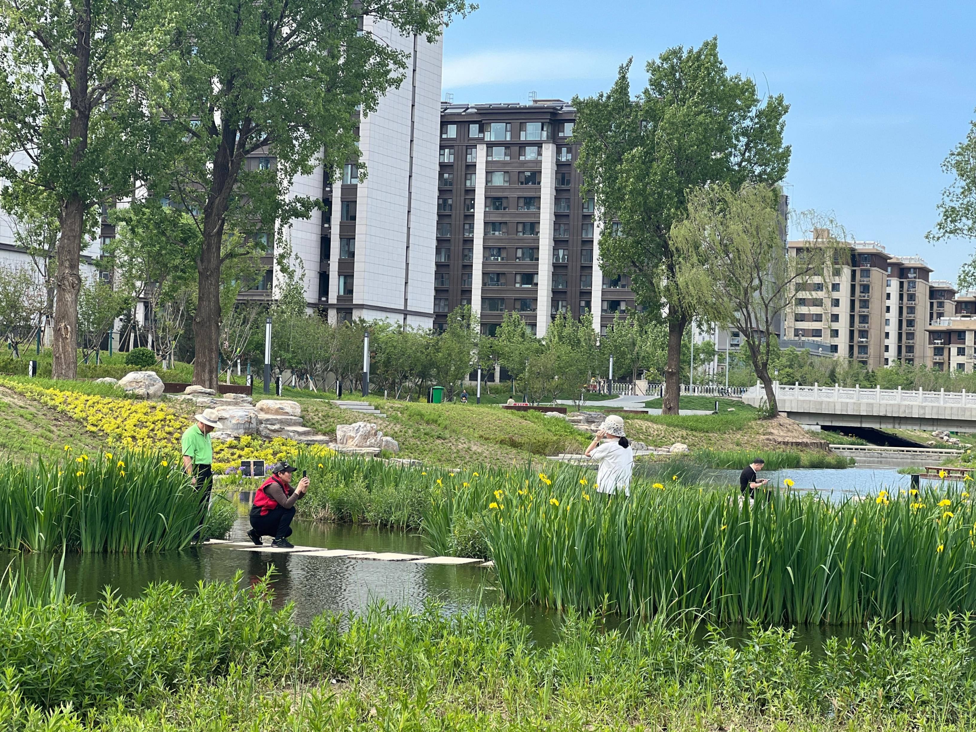 五一渠生態(tài)濱河公園內(nèi)，市民正在拍照留念。人民網(wǎng) 歐陽(yáng)易佳攝