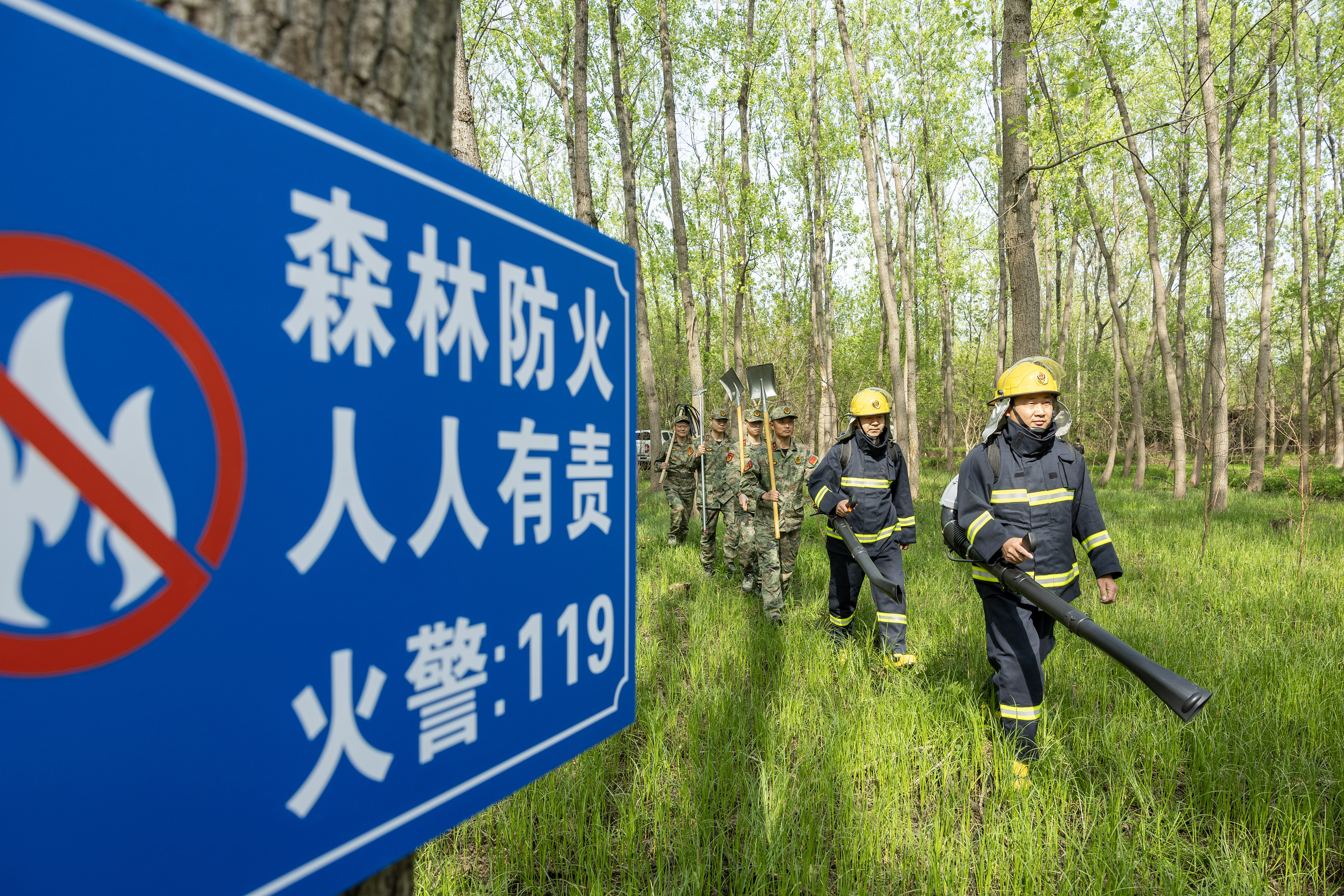 2024年4月9日，合肥市大房郢水庫水源保護(hù)地廬陽經(jīng)濟(jì)開發(fā)區(qū)段，基干民兵正在林間巡查火災(zāi)隱患。