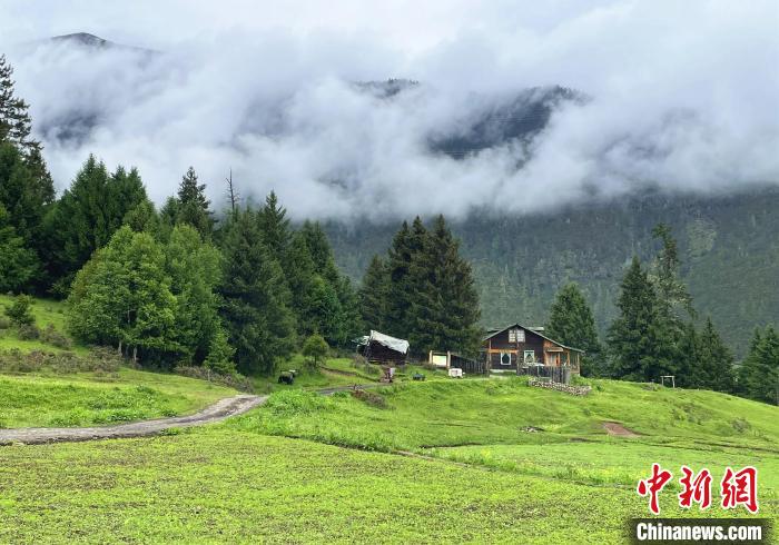 6月10日，魯朗小鎮(zhèn)高山牧場(chǎng)景區(qū)風(fēng)光?！∪轿木?攝